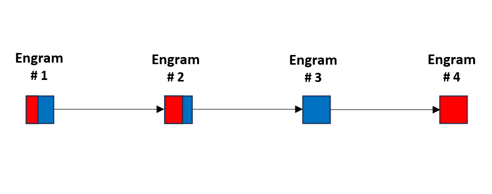 FIGURE 1 – Engram management with the counterweight of the duality of heart and intelligence, taking into account the method of L. Ron Hubbard as good as ever